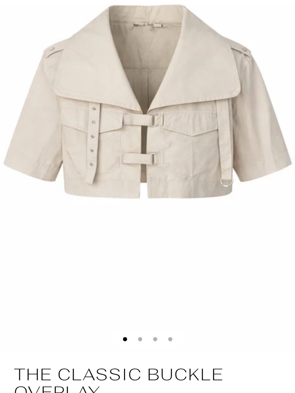 Aleeza Paris The Clay Buckle Overlay Top